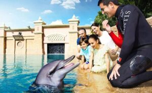 Dubai with Kids: Family-Friendly Attractions and Entertainment