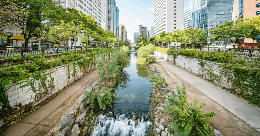 Green spaces in International City