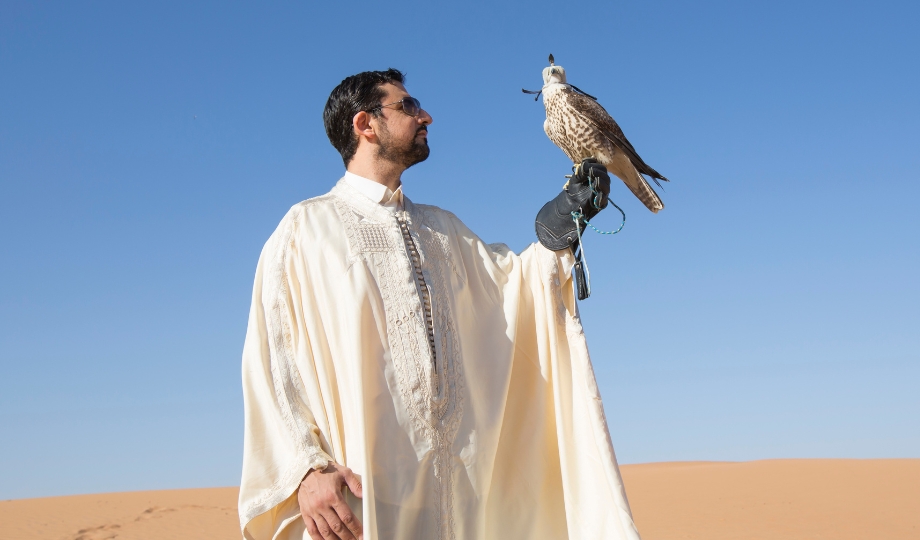 Falconry in Dubai.
